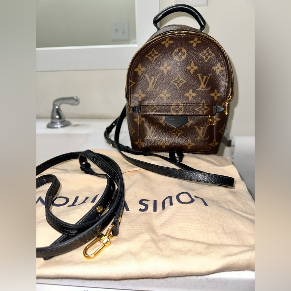 Louis Vuitton Palm Springs Mini
